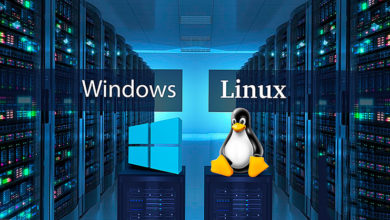 Administrirovanie serverov Windows i Linux