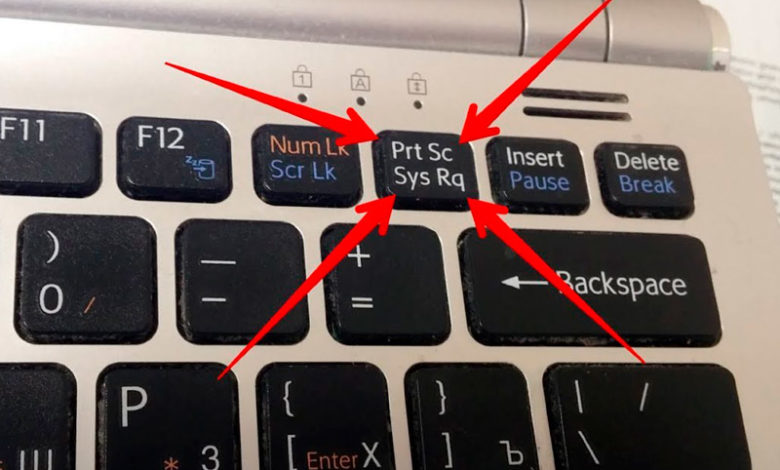 Как сделать скриншот на компьютере с помощью клавиатуры и без: 13 способов