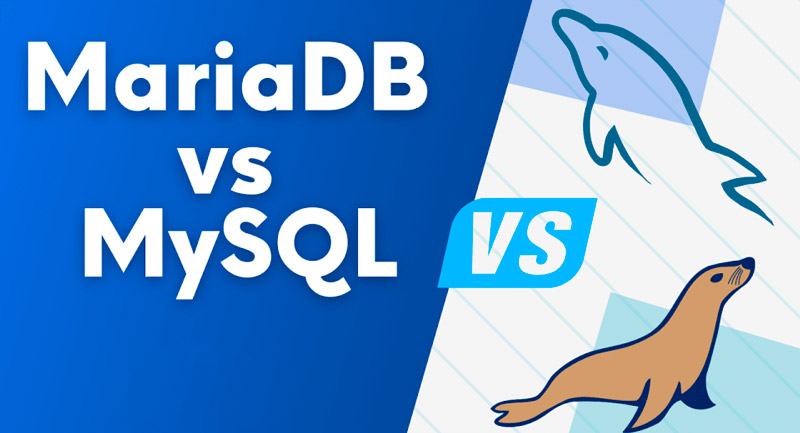 Базы данных MySQL vs PostgreSQL